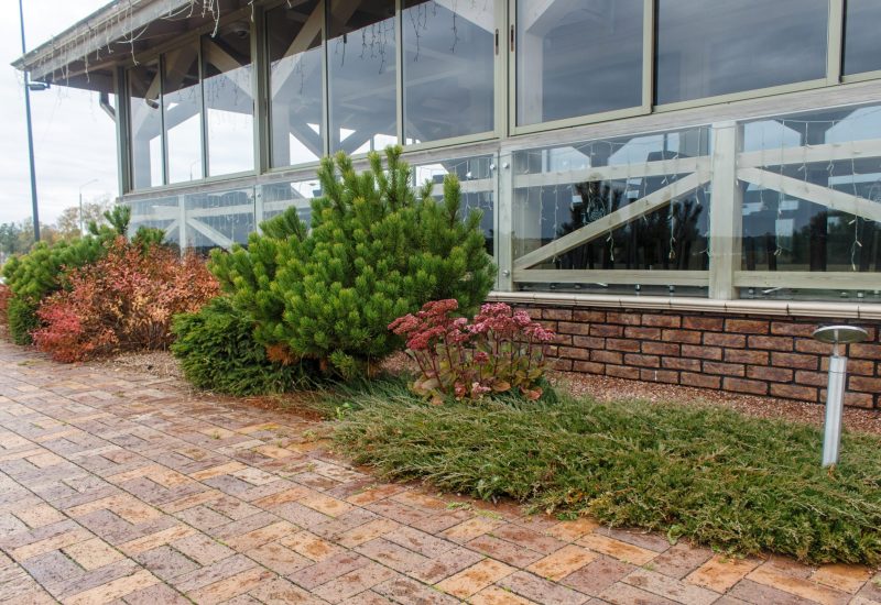 modern restaurant with green lawn, tile path and landscape design with ornamental grasses and decorative pines