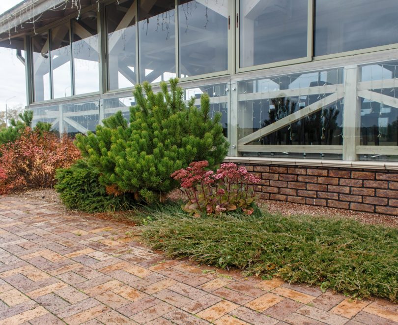 modern restaurant with green lawn, tile path and landscape design with ornamental grasses and decorative pines